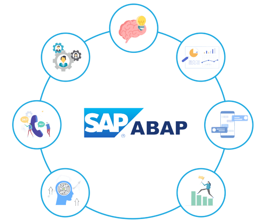 sap abap support