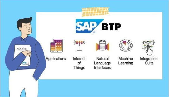 sap bpt services