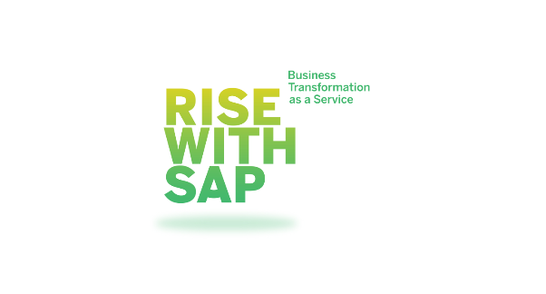 Transform Your Business with RISE with SAP: A Comprehensive Path to Innovation